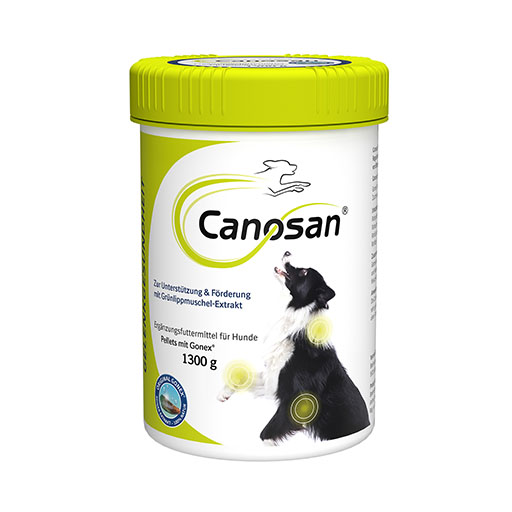 CANOSAN Konzentrat vet.